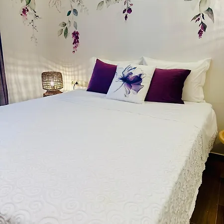 The Blooming Project 아파트 루트라키